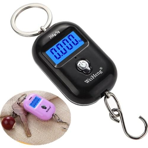 Digital Luggage Scale 25kgx5g Mini Portable Pocket Hook Fish Weight Travel Bag Hanging Scale Balance Fishing Scale Electronic