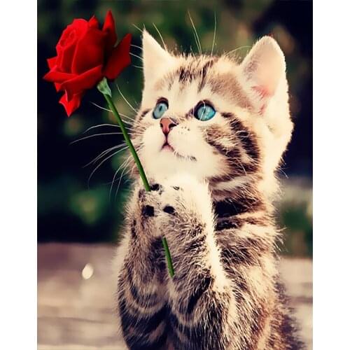 Painting By Number Animal Cat Drawing On Canvas HandPainted Painting Art Gift DIY Pictures By Number Figure Home Decor Kit