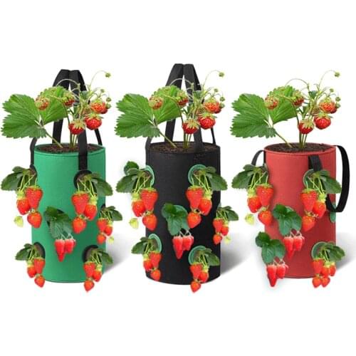 Garden Vegetable Seeding Strawberry Bag with Handle Hanging Planting Bag 12 Hole Non-Woven Plant Hanging Basket Gardening Tools