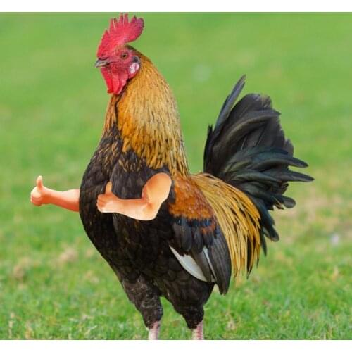 New Chicken Toy Gag Wearing Artificial Dinosaur Arms Party Funny Bird Decor Props Pet Themed Pet Decoration Supplies