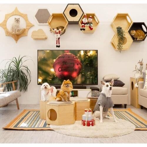 Wall-mounted cat climbing frame & wooden wall cat litter