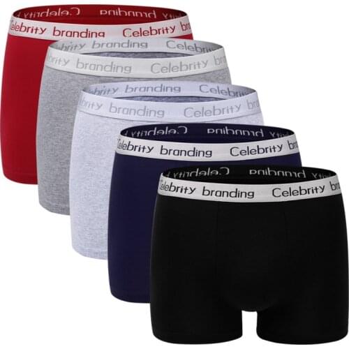 Men's Briefs-shorts Feilibin China