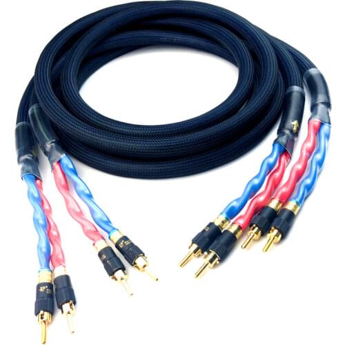 Audiophile 4N OFC 5 Core Silver Speaker with Gold-Plated Banana Audio Cable