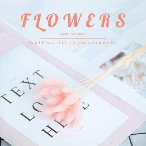 20Pcs Rabbit Tail Grass Natural Dried Flowers For Home Decoration Flower Arrangement Wedding decoration Real Flower Grass Props