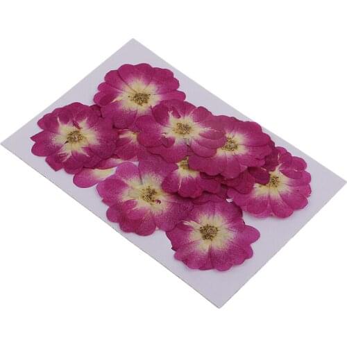 12x Purple Dried Real Flower Chinese Rose For DIY Necklace Pendants Charms