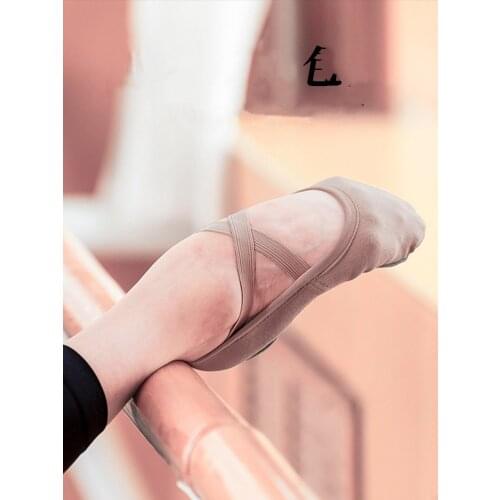 Ballet Flats Girls Ballet Shoes For Dancing Women Dance Shoes High Stretch Canvas Ballerinas Shoes Three Colors Brown Pink Black