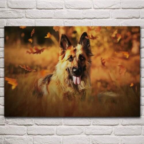 Beautiful German shepherd autumn cute animals pets on yellow lawn living room home art decoration wood frame fabric poster KP096