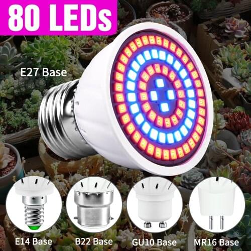 Tuxingzhe LED Lightening