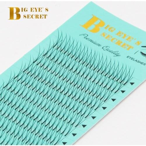12 Rows 2D Russian Volume Premade Fans Lashes Customize logo Classic Eyelashes Extension Free Shipping