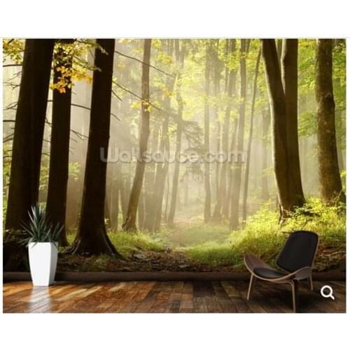 Custom forest wallpaper,Forest Pathway,natural mural for living room bedroom bar KTV background wallpaper home decoration