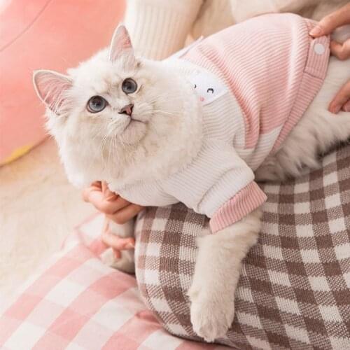 Pet Dog Costume Cute Plus Velvet Puppy Cat Dog Clothes Warm Cheese Mouse Big Ears Cute Hoodies Coat Winter Warm Fleece Jumpsuit