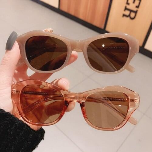 Fashion Irregular Cat Eye Sunglasses Women Vintage Jelly Tea Trending Eyewear Men Spring Hinge Shades UV400 Sun Glasses
