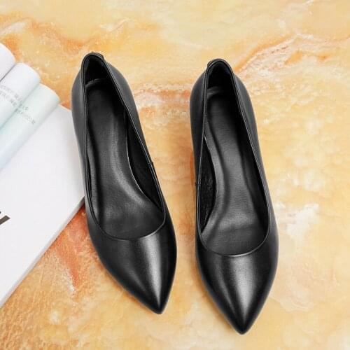 Women Shoes Genuine Leather Cowhide Spring Fashion Pointed Toe Thin and Chunky Heels office & career Ladies Pumps