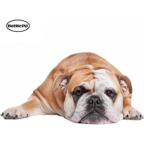 HotMeiNi 13cm x 6.7cm for Whippet Zoetis Car Decal Personality Creative Stickers DIY Occlusion Scratch Graffiti Sticker for RV