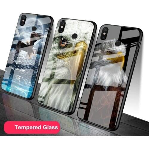 Eagle Tempered Glass Phone Case For Redmi Note 5 6 7 8 9 Pro Note8T Note9S Redmi8 9 Cover Shell