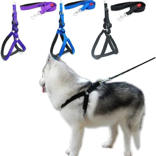 Dog Padded Harness Leash Reflective Nylon Harness Leash for Large Dogs Running Walk Outdoor Sports