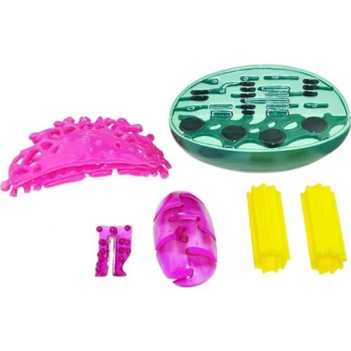 Structure model biology experiment cell teaching medicine