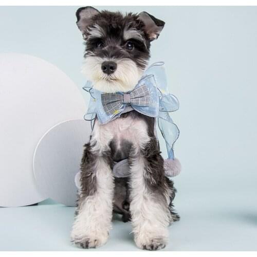 Lace Cat Dog Harness Fairy Bow-knot Vest Collar Breathable Walking Pet Harness Leash Set Breathable Puppy Kitten Harness Vest