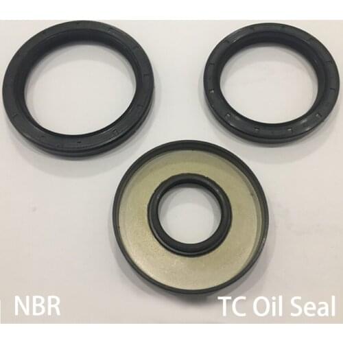 11.6*22*10 11.6x22x10 11.6*24*10 11.6x24x10 Nitrile Rubber NBR Double Lip Spring TC Ring Gasket Radial Shaft Skeleton Oil Seal