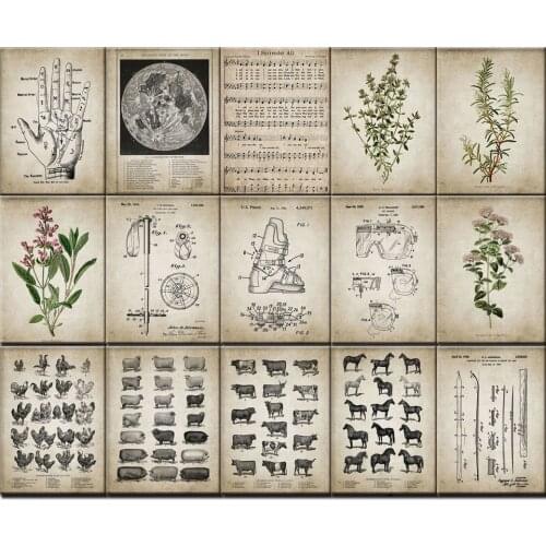 Canvas Nordic Pictures HD Print Home Decoration Animal Plant Varieties Painting Wall Art Creative Poster Modular For Living Room