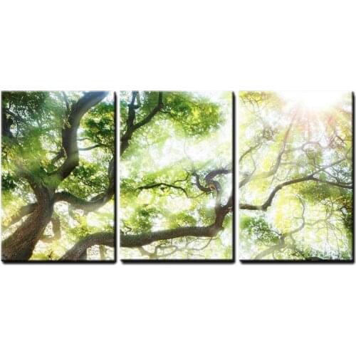 New Arrival 5D Diy diamond Painting 3 Pieces Green Big Tree With Sunlight full diamond embroidery Triptych Scenery wall Art