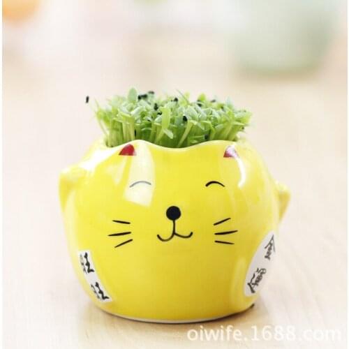 Network explosion models Lucky Cat New Year gift potted succulents customized gifts Lucky Cat Creative radiation plant