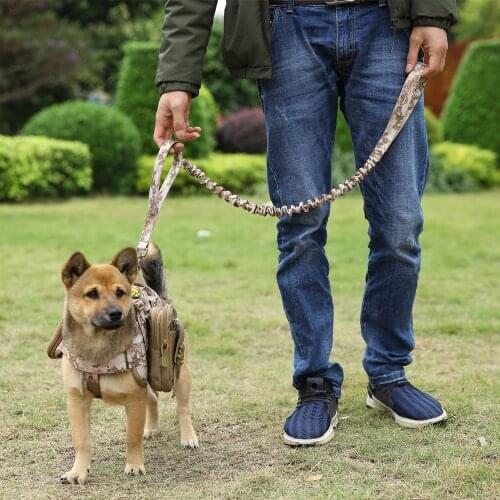 Military Tactical Bungee Dog Leash 2 Handle Quick Release Cat Dog Pet Leash Elastic Nylon Walk Lead Rope Dog Training Leashes
