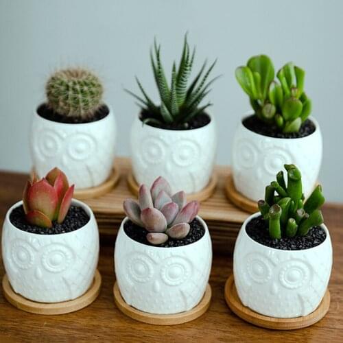 ZTHOME Flower Pots