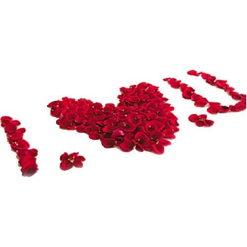 500 Pcs 5*5cm Simulation Rose Petal Artificial Flowers Silk Flower Wedding Marriage Room Decorations Hand Throwing Flowers