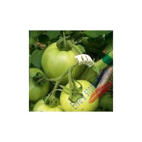 200pcs plant tomato clip plant fastener plant vines Tomato Flower Vegetable Farming Clip