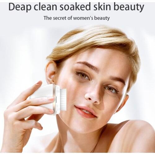 ZHAOYAO Electric Face Brushes