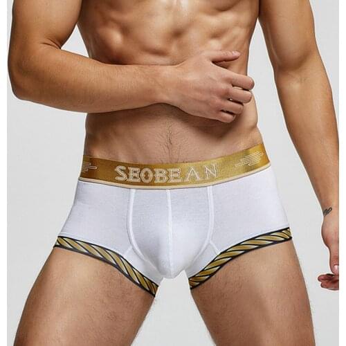 Heavywood Men's Cotton Briefs