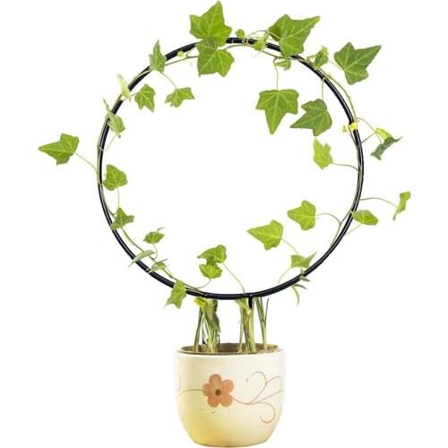 Metal Plant Trellis Support Wire Decorative Plants Climbing Holder Rack for Potted Plants Flowers Indoor Home Accessories