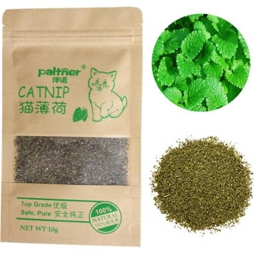 Organic Cat Catnip 100% Natural Cattle Grass Cat Mint Leaves 10g Menthol Flavor Funny Cat Training Treats Toys Cats Supplies