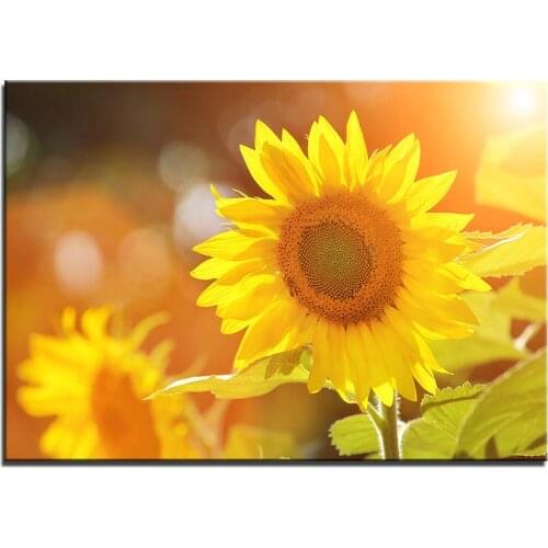 Full Diamond Painting Sun Flower Embroidery Cross Stitch Mosaic Home Decoration Wall Decor Handmade Diy Gift