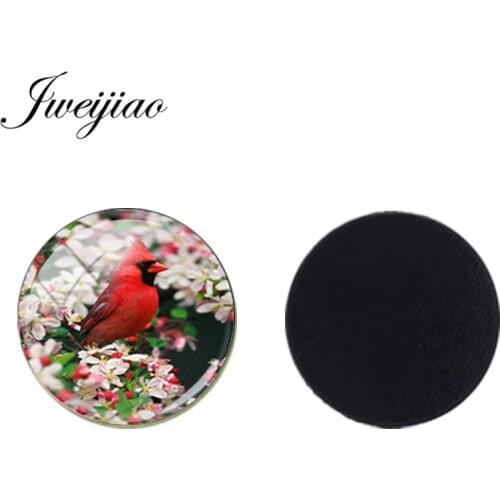 JWEIJIAO Fashion Flower Birds Animals 1pcs 25mm Round glass cabochon Magnetic Sticker Fridge Magnet Jewelry Finding BP01