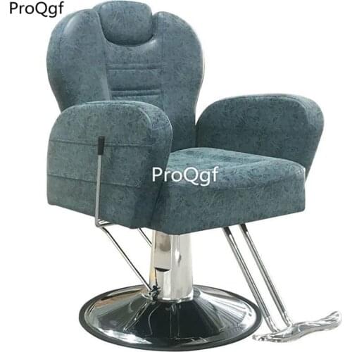 Prodgf 1Pcs A Set ins Classic you like Series Salon Chair