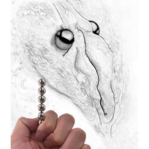 Win Hot Selling 2 Piece Fake Nose Ring Goth Punk Lip Ear Nose Clip On Fake Septum Piercing Nose Ring Hoop Lip Hoop Rings Earring