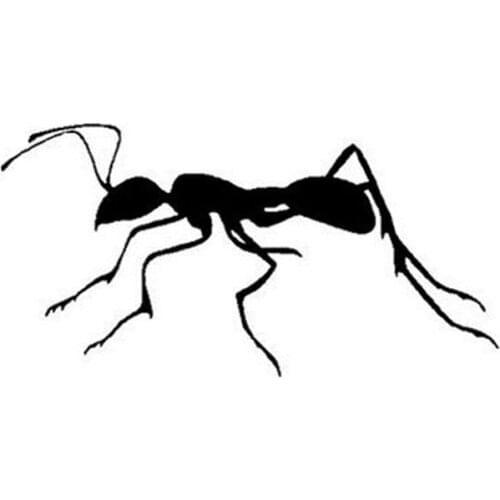 Ant pismire emmet Animal Theme Car Sticker Decal Rear Windshield Rood Decor Removable AL354