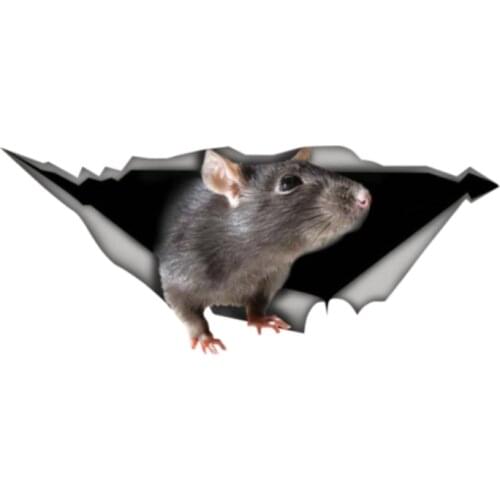 Creative Rat 3D Pet Car Sticker Accessories Motorcycle Waterproof Car Window Decal PVC 13cm X 5cm