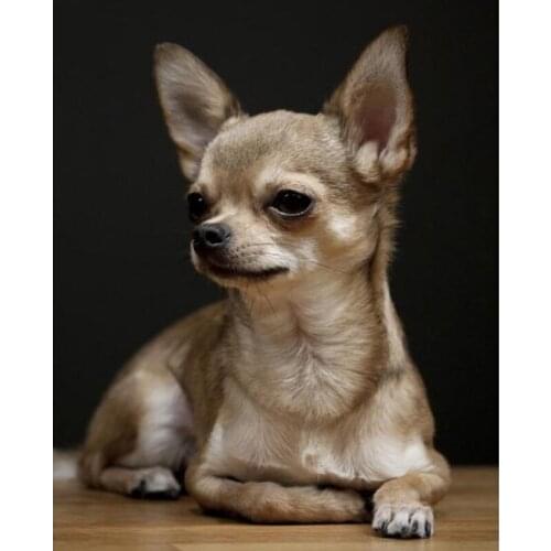 Quality Full Round Diamond Embroidery Chihuahua,5D Diamond Painting,Dog Cute Pet Diamond Picture Of Rhinestones Home Decor