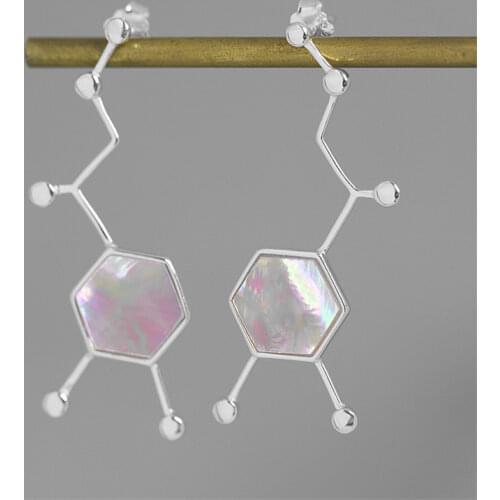 INATURE 925 Sterling Silver Adrenergic Molecule Chemistry Geometric Polygon Stud Earrings for Women Love Jewelry Gift