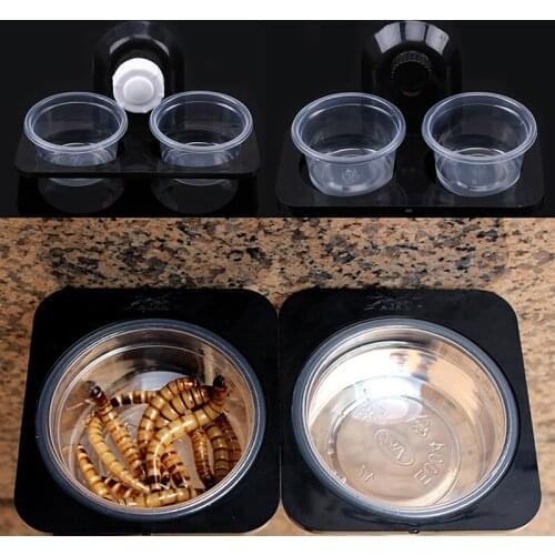 Plastic Reptile Feeder Double Food Water Bowl Screw Suction Cup Animals Feeding Basin Insect Lizard Feeders Box Pets Supplies