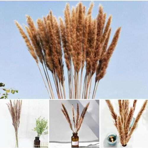 2021 New Home Decor Homehold Decorating 15PCS Natural Dried Reed Grass DIY Home Wedding Decoration Artificiall Flowers Plants