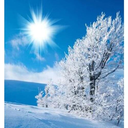 5D DIY Diamond Painting Square/Round Diamond Landscape Painting Snow Scene Picture Cross Stitch Embroidery Decoration Art WG2979