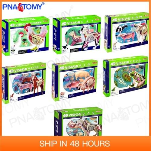 Animal Puzzle Dog Cat Pig Horse Cow Frog Chicken Pets Toys Anatomical Models DIY Children Gifts Educational 4D MASTER