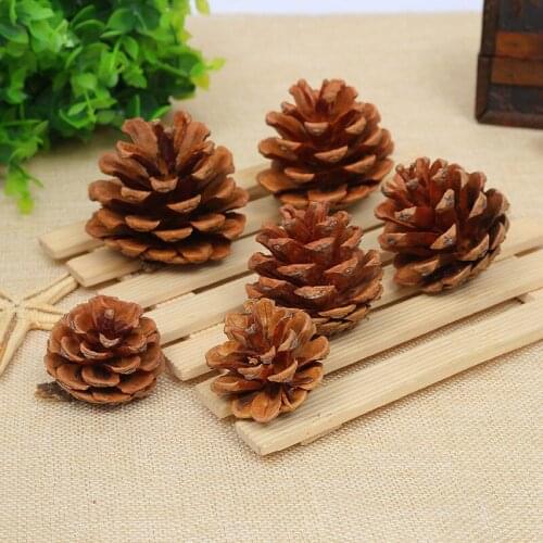 13-18cm pine cone Christmas Ornament pendant creative ornament shooting props dried pine cone Chinese Pine