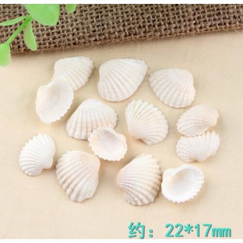 50pcs White Natural Sea Shells Coquillage Beach Decoration Craft Diy Marine Fish Tank Seashells Conch Embellishment 22x17mm
