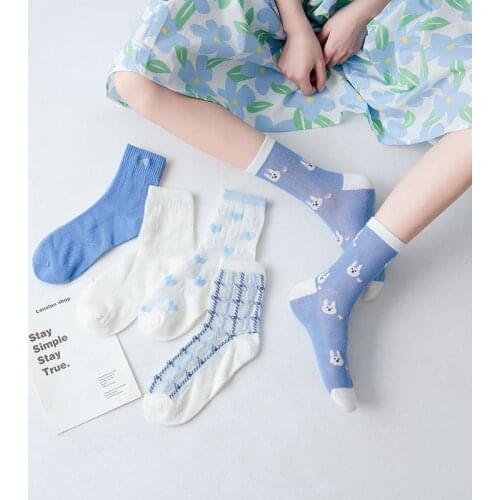 Socks Women Blue Series Summer Thin Mesh Style Cotton Japanese Fashion Kawaii Transparent Cute Fishnet Long Socks Set