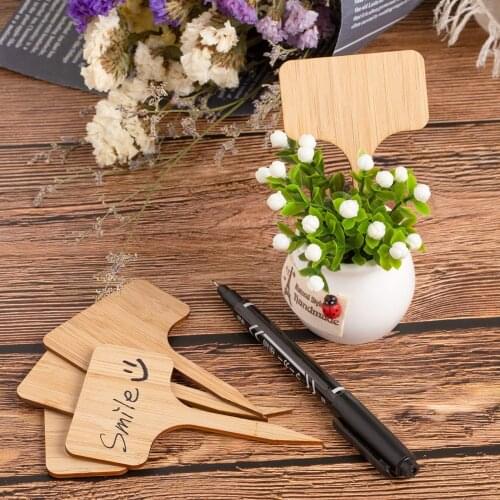 100pcs+2 Pen Bamboo Plant Labels Eco-Friendly Wooden Plant Sign Tags Garden Markers for Seed Potted Herbs Flowers Tools Shipping